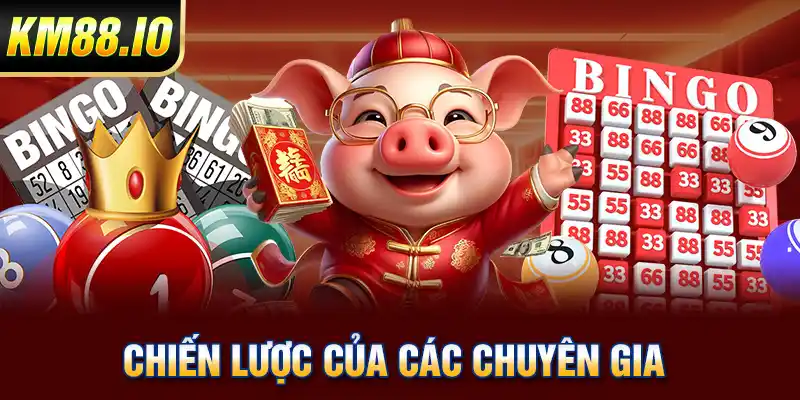 Chiến lược của các chuyên gia